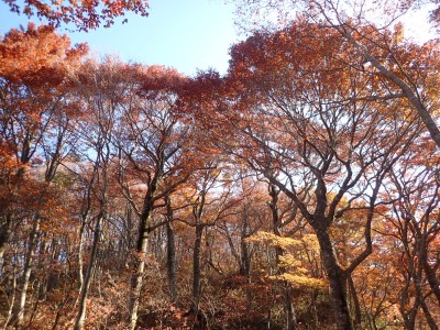 317690490_3257316104486249_4988991497344213651_n (1).jpg