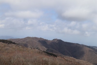 tmp_imgresize (2).jpg