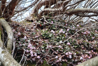 tmp_imgresize (3).jpg