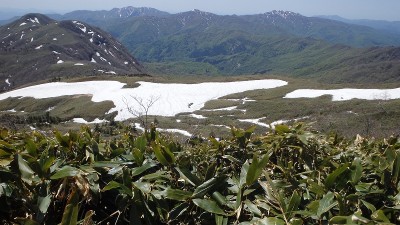 笠場湿原を見下ろす