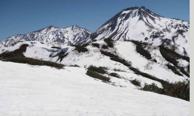また来年、バイバ～イ！