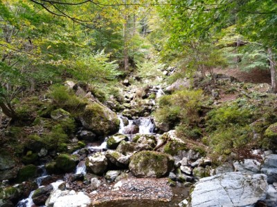 16985397641011 - コピー.jpg