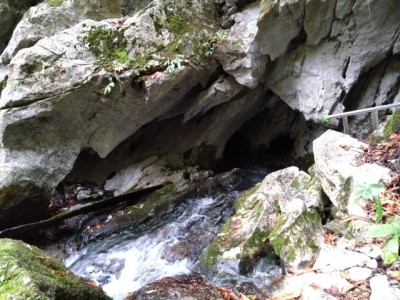 16985399827553 - コピー.jpg