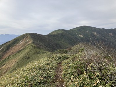 たおやかな稜線.jpg (533.6 KiB) 閲覧された回数 7173 回 起伏の緩やかな稜線