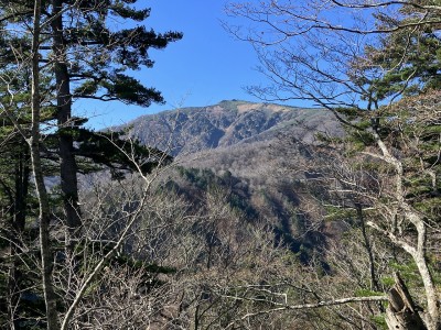 三岩岳遠望.jpg (841.13 KiB) 閲覧された回数 7663 回 岩が目立つのが三岩岳