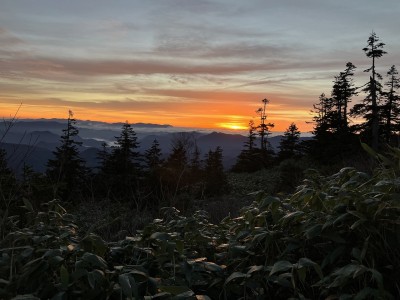 朝焼け.jpg (341.73 KiB) 閲覧された回数 8168 回 朝焼け