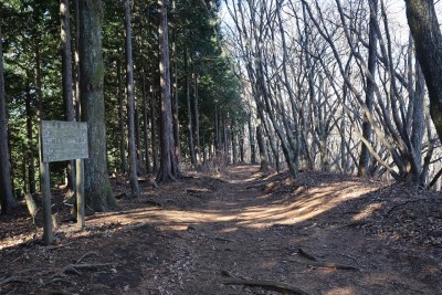 整備された道.jpg (682.35 KiB) 閲覧された回数 5586 回 整備された道