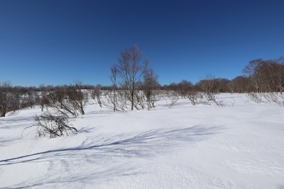 どこまでも続く雪原