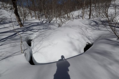 水の流れ.jpg (346.1 KiB) 閲覧された回数 12620 回 湿原にある蛇行した水の流れ
