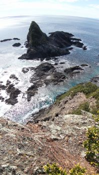 先端から恐々手を伸ばして撮る