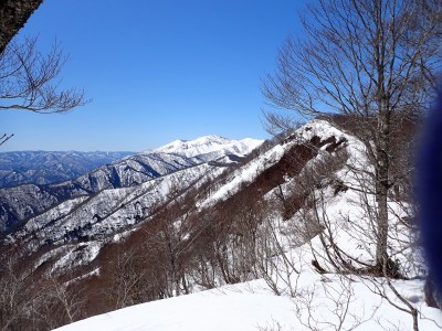 山毛欅沢岳と三岩岳大戸沢岳.jpg (580.02 KiB) 閲覧された回数 11803 回 手前が山毛欅沢岳、奥の白いのが三岩岳と大戸沢岳