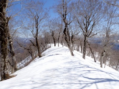 尾根歩き.jpg (585.24 KiB) 閲覧された回数 11803 回 快適な尾根