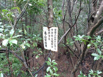 サカキ・シキミ伐採禁止の看板