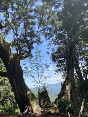 IMG_2461.jpeg (198.74 KiB) 閲覧された回数 12387 回 光砥山へ上がる尾根で