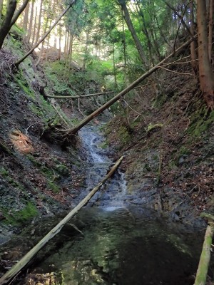 比丘尼谷の斜瀑