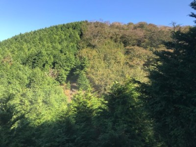 IMG_7332.jpeg (91.31 KiB) 閲覧された回数 5634 回 幾利山