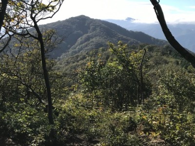 IMG_7333.jpeg (115.88 KiB) 閲覧された回数 5634 回 振り返って ソノド