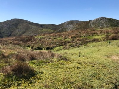 IMG_7334.jpeg (99.5 KiB) 閲覧された回数 5634 回 経塚山、霊仙山、最高点