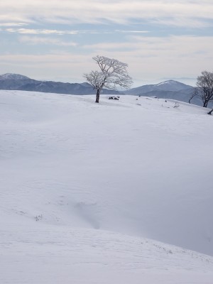 青のドリーネ上部