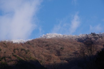 IMGP0492.JPG (85.09 KiB) 閲覧された回数 3819 回 前山から薊岳への稜線に霧氷