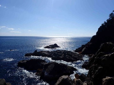 P1300028.jpg (66.34 KiB) 閲覧された回数 4629 回 江戸鼻