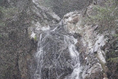 IMGP1203.JPG (243.41 KiB) 閲覧された回数 3931 回 降り続く雪