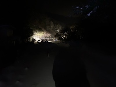 駐車場の明かり