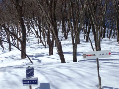 P2250039.jpg (99.62 KiB) 閲覧された回数 2728 回 白瀬峠分岐