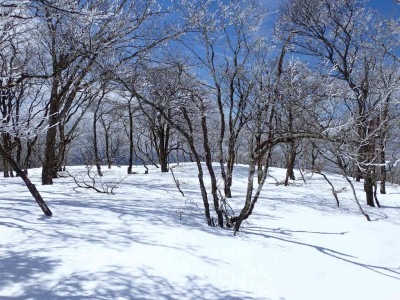 P3180099.jpg (131.49 KiB) 閲覧された回数 3225 回 土倉岳の広い頂上