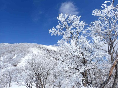 P3180108.jpg (121.88 KiB) 閲覧された回数 3248 回 霧氷