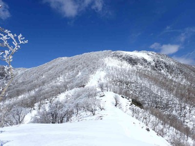 土倉岳から見る御池テーブルランド