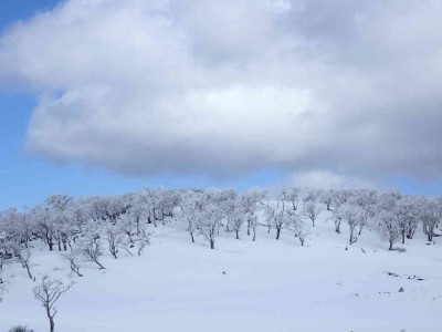 P3180141.jpg (39.47 KiB) 閲覧された回数 3225 回 テーブルランドの風景
