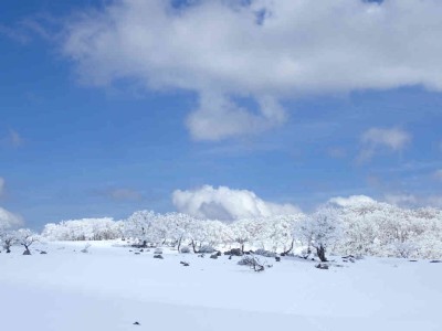 テーブルランドの風景