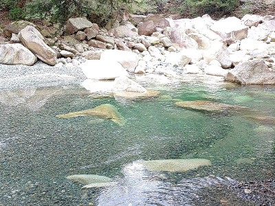 白滝谷出合渡渉箇所