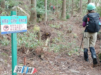 右岸登山道