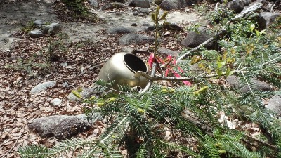 P5080019.jpg (270.74 KiB) 閲覧された回数 3068 回 おなじみのヤカン