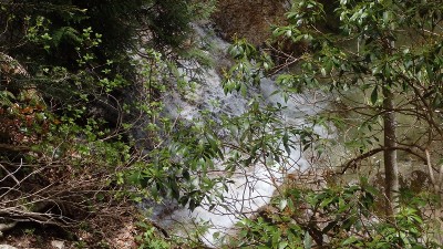 P5080028.jpg (239.21 KiB) 閲覧された回数 3069 回 下段の滝