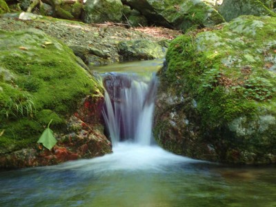 P7300035.jpg (78.64 KiB) 閲覧された回数 4498 回 地蔵谷