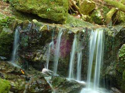 P7300052.jpg (114.58 KiB) 閲覧された回数 4498 回 地蔵谷