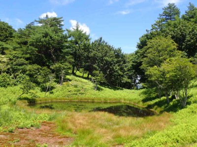 P7300093.jpg (118.54 KiB) 閲覧された回数 4498 回 赤ゾレ池