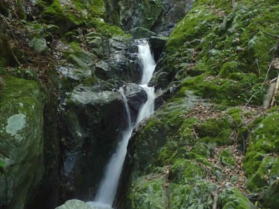 P8060029.jpg (91.98 KiB) 閲覧された回数 7285 回 第一連瀑帯