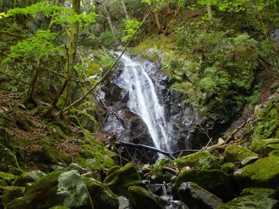 P8060073.jpg (132.44 KiB) 閲覧された回数 7284 回 8m滝