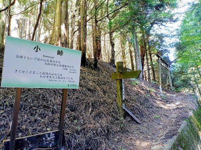 小峠（伊勢南街道？）