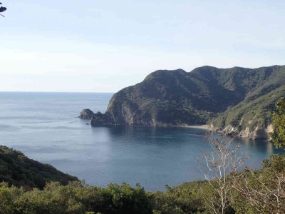 PC100009.jpg (57.38 KiB) 閲覧された回数 1066 回 網代浜