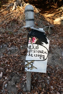 ニワトリの顔が怖い・・・・