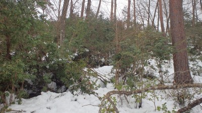 カツラ谷ルートから左の尾根へ