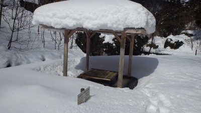 P2031071.jpg (112.66 KiB) 閲覧された回数 524 回 渓流公園の登山口付近から