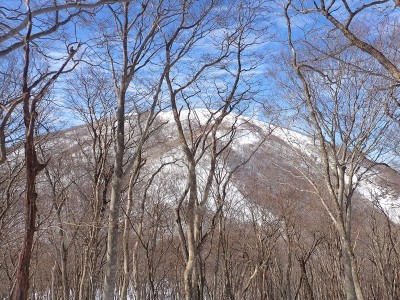 東雨乞のドーム