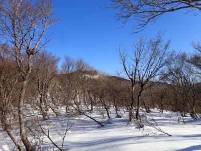 P2210114.JPG (7.54 MiB) 閲覧された回数 607 回 ここでスノーシューを装着