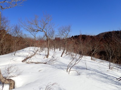 P2210171.JPG (7.55 MiB) 閲覧された回数 607 回 三角点 吉槻